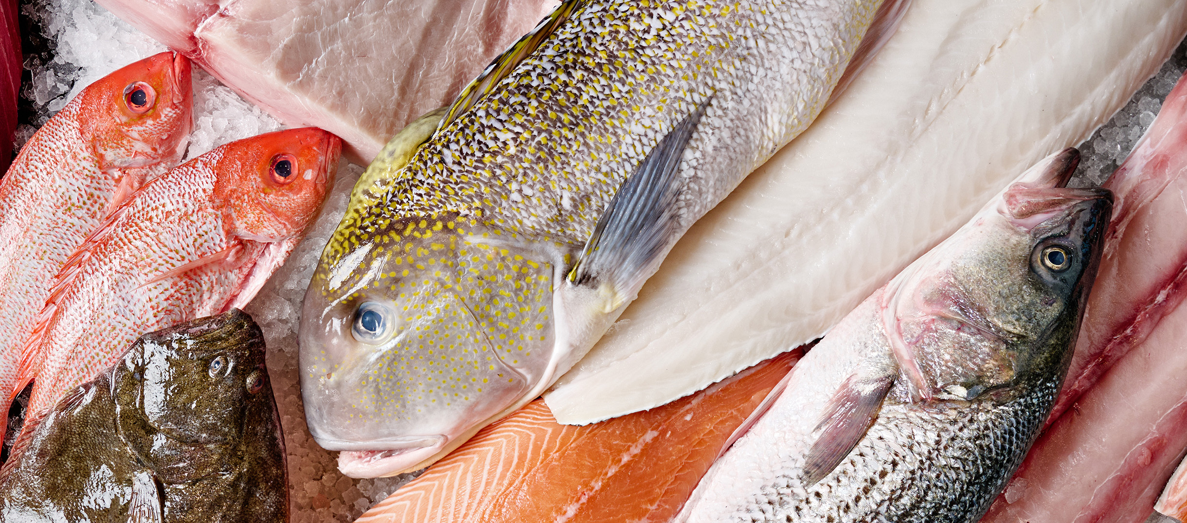 Fresh Seafood Image